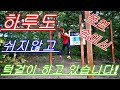 매일 똑같이 풀업 턱걸이 맨몸운동만으로도 몸짱 만들수 있다!