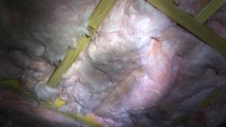 After Fibre glass batt job repaired to have no gaps 2016 08 22 15 50 21