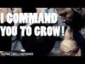 I Command you to Grow! Biceps/Arm Day with CT ...