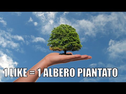 PIANTARE un albero NON salverà il MONDO