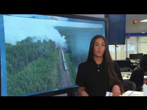 Eldningsförbud i alla län – så påverkas du