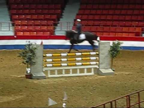 showjumping- Catch Me If You Can doing 3'9 jumpers with Tina Schweizer, WINNERS!