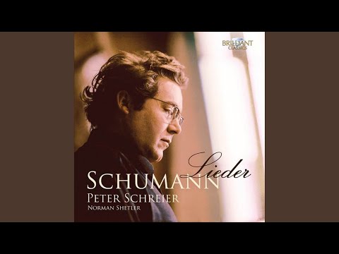 Myrthen, Op. 25: No. 24, Du bist wie eine Blume