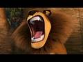 Alex On The Spot Madagascar 2