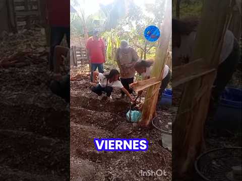 Ambiente "Mi Venezuela Bella" Misión Robinson Cagua estado Aragua #losqueremosdevuelta