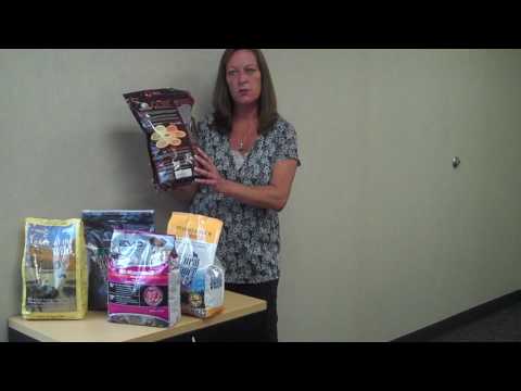 download lagu mp3 mp4 Gain Crunchy Dog Food, download lagu Gain Crunchy Dog Food gratis, unduh video klip Gain Crunchy Dog Food