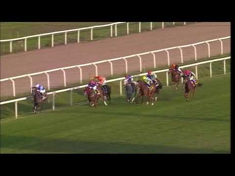 rm 20201108 05 p lydiatesio