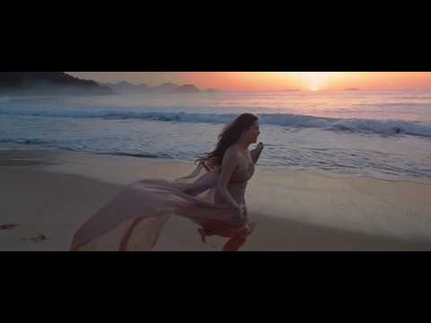 Pássaros A Voar - Ana Rafaela