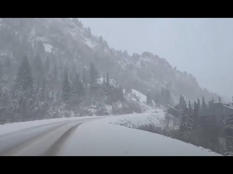Heavy Snow Limits Visibility in Utah's Cottonwood Canyons