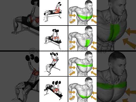 Build a Powerful Chest: Best Dumbbell Chest Workouts for Massive Gains!