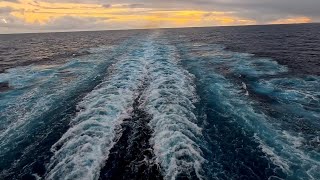 Кильватер - дорожка от лайнера #mscseaside  #umarkeyn #nicemusic 