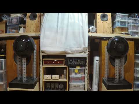 Imada Masaru Carnival　SUNSET WALK