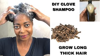 HOW TO MAKE CLOVES SHAMPOO/GROW LONG THICK HEALTHY  HAIR