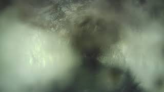 67_【現場映像】カメラ付き洗浄ノズル　クリーンビュー　管内映像φ250