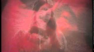 Dennis Potter's 'Pennies From Heaven' - 'Easy Come, Easy Go'