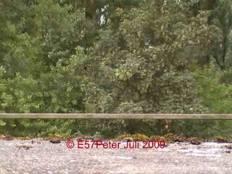 Heulkonzert Sirenen E57