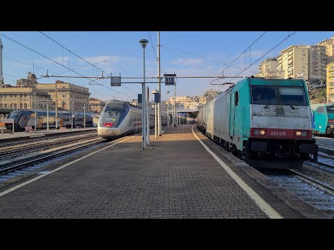 MRS 50361 Alessandria Sm. - Livorno Cal.