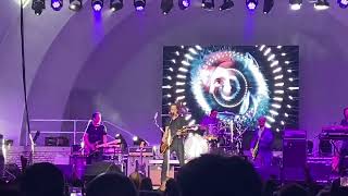 Bop till you drop. Rick Springfield