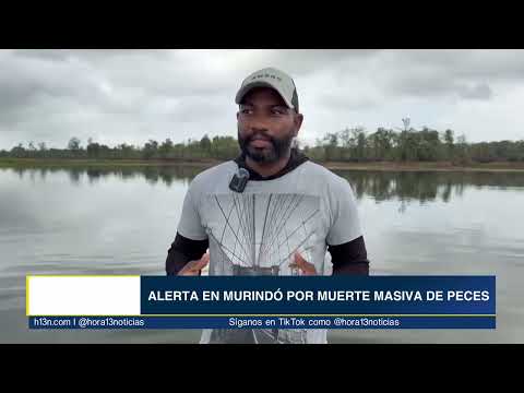 Alerta ambiental en Murindó: decenas de peces muertos afectan sustento de la comunidad