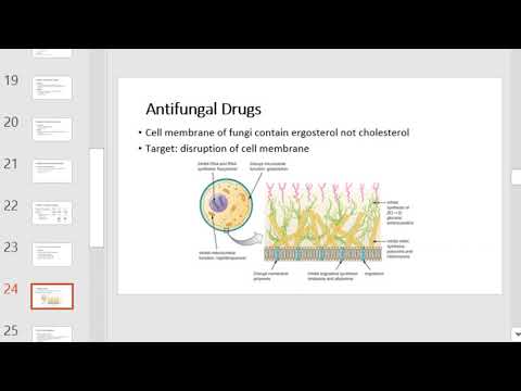 NU Bio 203 Ch 14 OpenSTAX
