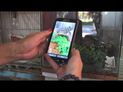 WildScan