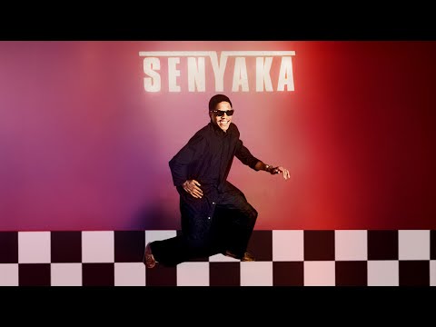 Senyaka - Go Away (Visualizer)