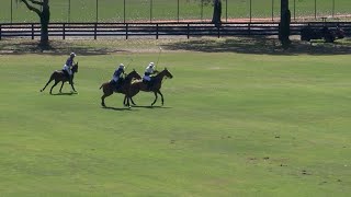 The Villages Polo Club 3/2/2025