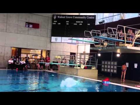 Back one and a half pike off 3m - 203B