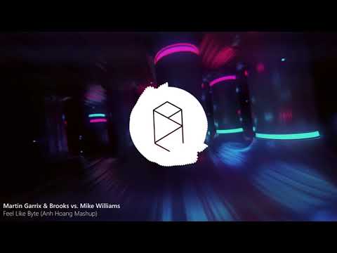 Martin Garrix & Brooks vs. Mike Williams - Feel Like Byte (Anh Hoang Mashup)