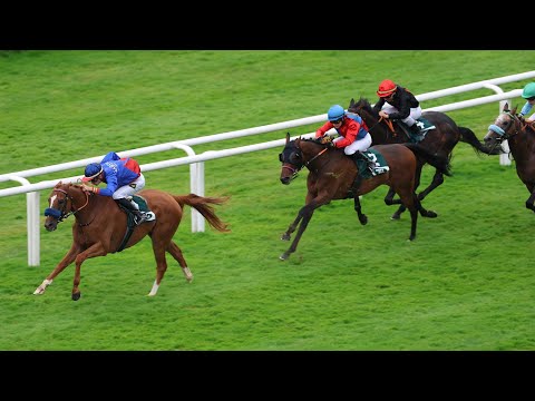 Hamburg: my bed.eu - Langer Hamburger 2025 Sieger: Flatten the Curve