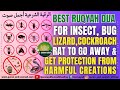 Ruqyah Dua For Insect Bug Lizard Cockroach Rat To Go Away Get Protection From Harmful Creations