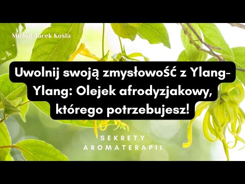 Witaminy dla odbudowy włosów i skóry głowy Profesjonalny maska do włosów z poddaszem