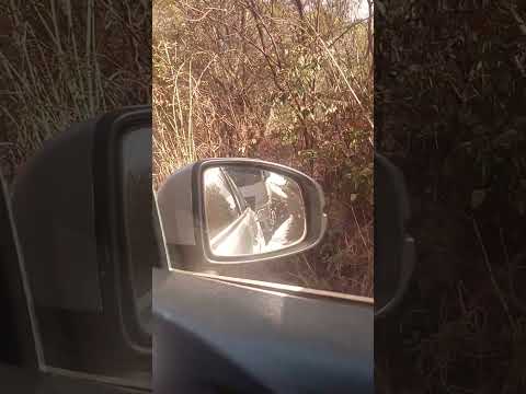 TRANSITO PESADO NA BR RODOVIA DA BAHIA PROXIMO A CAETITÉ 