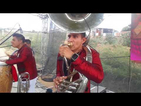 Banda Misteriosa - Rango solo tuba.