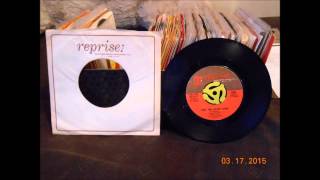 Dino, Desi & Billy Not The Lovin' Kind 45 rpm mono mix