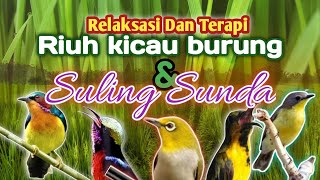 Download lagu Musik Relaksasi Suling Degung Sunda kicauan burung... mp3
