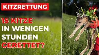 15 Kitze in wenigen Stunden gerettet? So EFFEKTIV kann eine Wärmebilddrohne sein! (DJI Mavic 3T)