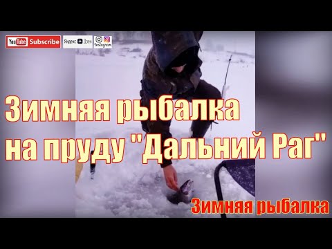 Фото Зимняя рыбалка на пруду Дальний Раг