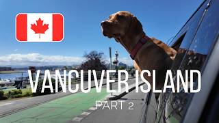 047 【🇨🇦カナダ・バンクーバー・アイランド　PART2】#犬 #犬との暮らし #キャンパー #旅 #dog #doglife #dogadventures #rvlife