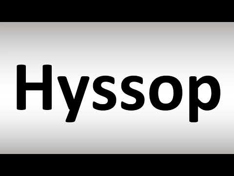 How to Pronounce Hyssop