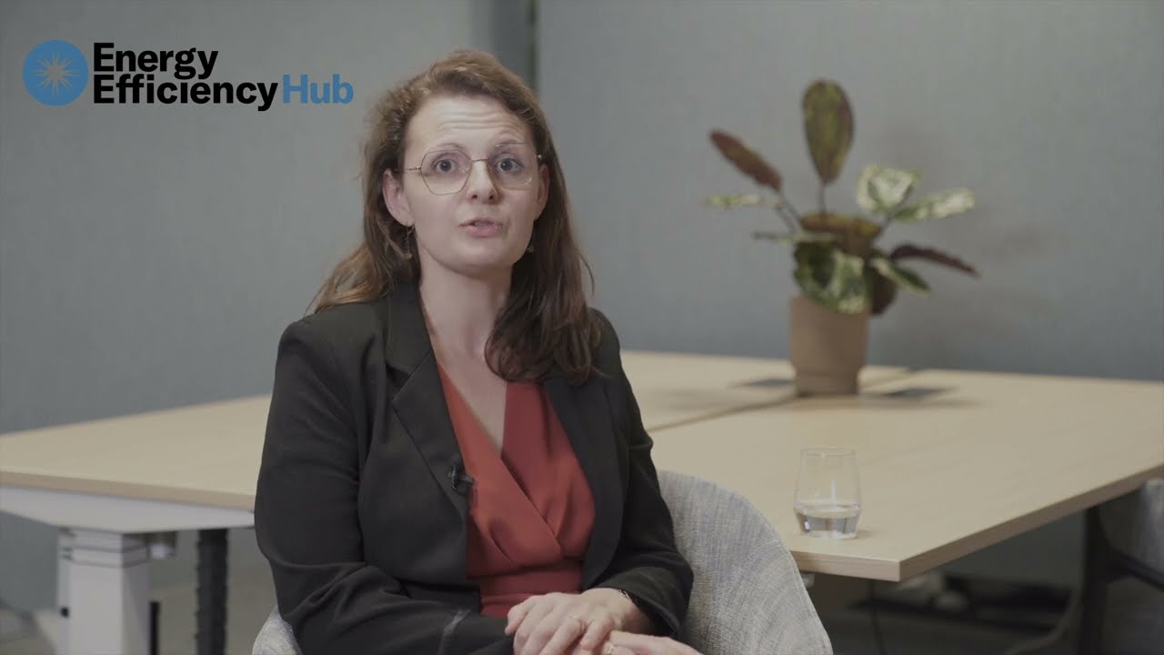 France Remarks about the Energy Efficiency Hub