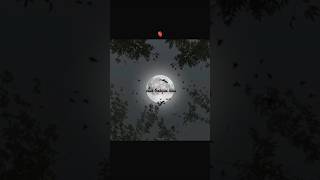 ‎Tere Vaaste | Zara Hatke Zara Bachke | Vicky Kaushal, Sara Ali Khan, Varun J, Sachin-Jigar, Amitabh