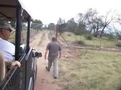 Plett Game Reserve - Game Drive Part 7