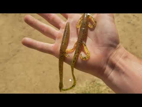 download lagu mp3 mp4 Freds Fishing, download lagu Freds Fishing gratis, unduh video klip Freds Fishing