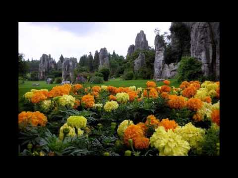 Después de ti. Cristian Castro y Raul Di Blasio