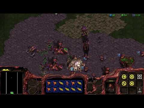 Conquering Aiur! - Starcraft Remastered Campaign #15