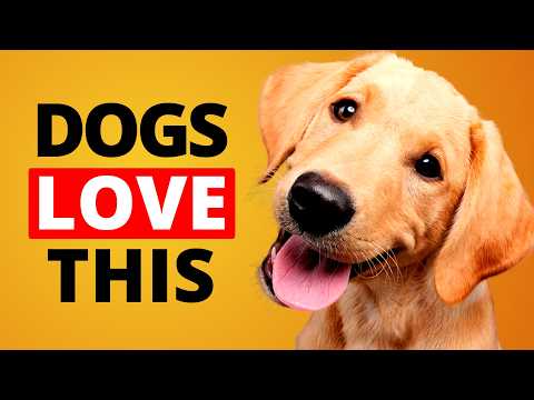 Does Your Dog Bark or Tilt Its Head? Try These Sounds 🐶