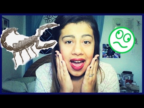 Storytime | I got stung by a scorpion and lived!