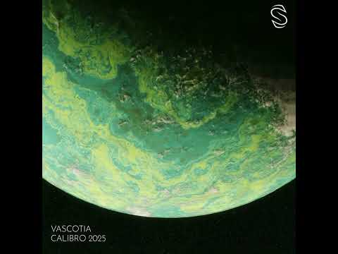 Vascotia - CALIBRO (2025 Rework)