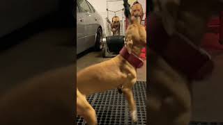 Master P, Mia X(Bout it Bout it 2)